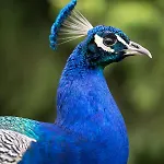 Δωμάτια σε οικογενειακή κατοικία Pan Tu Nie Spal