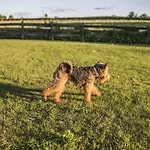 Pan Tu Nie Spal * Gałkowo